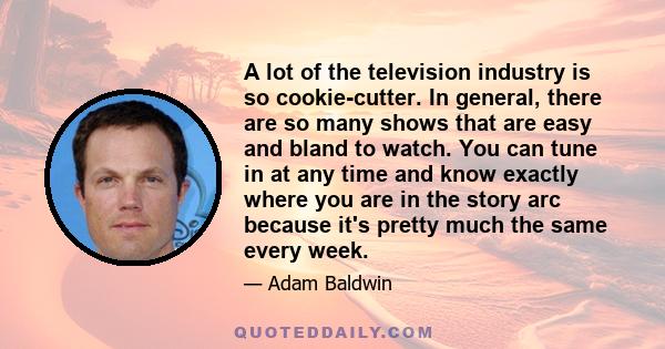 A lot of the television industry is so cookie-cutter. In general, there are so many shows that are easy and bland to watch. You can tune in at any time and know exactly where you are in the story arc because it's pretty