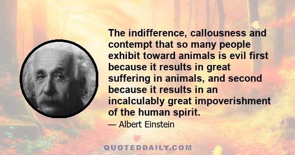 The indifference, callousness and contempt that so many people exhibit toward animals is evil first because it results in great suffering in animals, and second because it results in an incalculably great impoverishment
