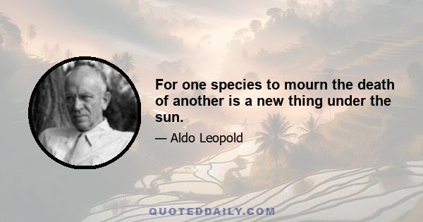 For one species to mourn the death of another is a new thing under the sun.
