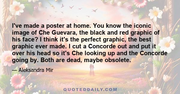 I've made a poster at home. You know the iconic image of Che Guevara, the black and red graphic of his face? I think it's the perfect graphic, the best graphic ever made. I cut a Concorde out and put it over his head so