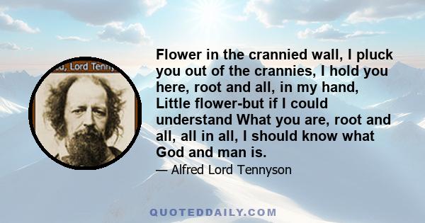 Flower in the crannied wall, I pluck you out of the crannies, I hold you here, root and all, in my hand, Little flower-but if I could understand What you are, root and all, all in all, I should know what God and man is.