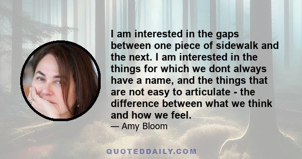 I am interested in the gaps between one piece of sidewalk and the next. I am interested in the things for which we dont always have a name, and the things that are not easy to articulate - the difference between what we