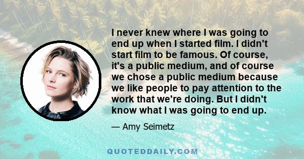 I never knew where I was going to end up when I started film. I didn't start film to be famous. Of course, it's a public medium, and of course we chose a public medium because we like people to pay attention to the work