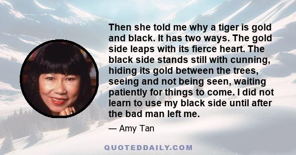 Then she told me why a tiger is gold and black. It has two ways. The gold side leaps with its fierce heart. The black side stands still with cunning, hiding its gold between the trees, seeing and not being seen, waiting