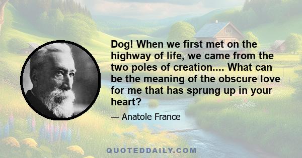 Dog! When we first met on the highway of life, we came from the two poles of creation.... What can be the meaning of the obscure love for me that has sprung up in your heart?