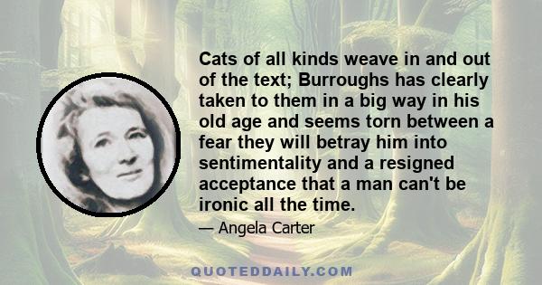 Cats of all kinds weave in and out of the text; Burroughs has clearly taken to them in a big way in his old age and seems torn between a fear they will betray him into sentimentality and a resigned acceptance that a man