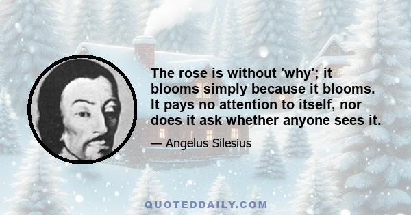 The rose is without 'why'; it blooms simply because it blooms. It pays no attention to itself, nor does it ask whether anyone sees it.