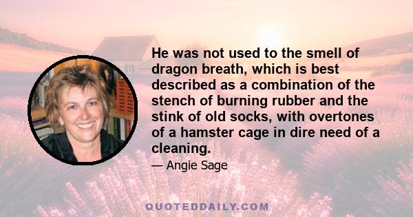 He was not used to the smell of dragon breath, which is best described as a combination of the stench of burning rubber and the stink of old socks, with overtones of a hamster cage in dire need of a cleaning.