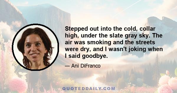 Stepped out into the cold, collar high, under the slate gray sky. The air was smoking and the streets were dry, and I wasn't joking when I said goodbye.