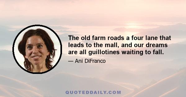The old farm roads a four lane that leads to the mall, and our dreams are all guillotines waiting to fall.