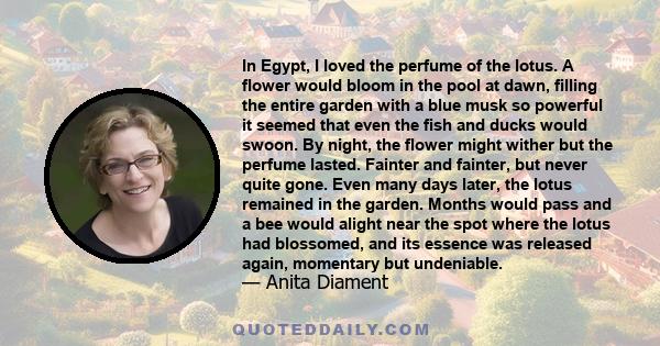 In Egypt, I loved the perfume of the lotus. A flower would bloom in the pool at dawn, filling the entire garden with a blue musk so powerful it seemed that even the fish and ducks would swoon. By night, the flower might