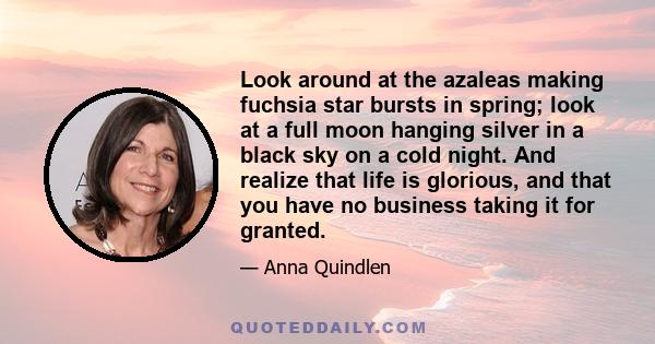 Look around at the azaleas making fuchsia star bursts in spring; look at a full moon hanging silver in a black sky on a cold night. And realize that life is glorious, and that you have no business taking it for granted.