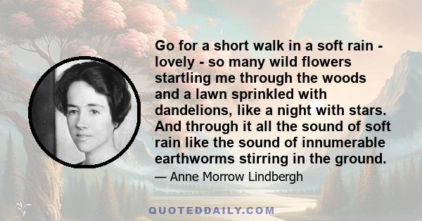 Go for a short walk in a soft rain - lovely - so many wild flowers startling me through the woods and a lawn sprinkled with dandelions, like a night with stars. And through it all the sound of soft rain like the sound