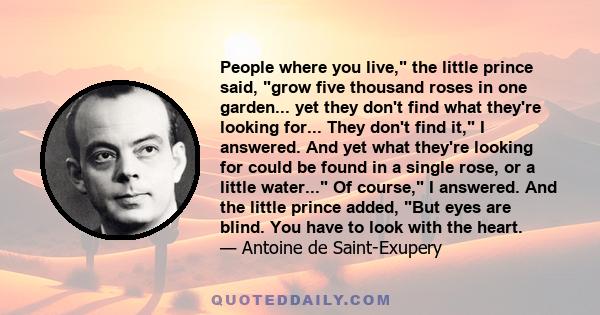 People where you live, the little prince said, grow five thousand roses in one garden... yet they don't find what they're looking for... They don't find it, I answered. And yet what they're looking for could be found in