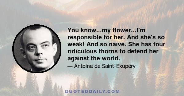You know...my flower...I'm responsible for her. And she's so weak! And so naive. She has four ridiculous thorns to defend her against the world.