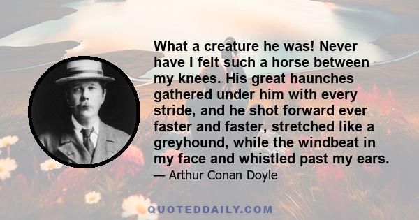 What a creature he was! Never have I felt such a horse between my knees. His great haunches gathered under him with every stride, and he shot forward ever faster and faster, stretched like a greyhound, while the
