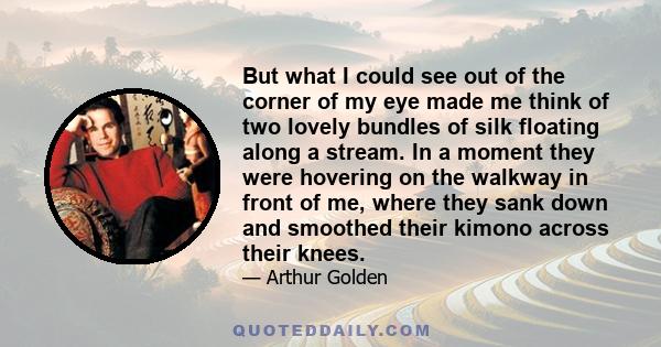 But what I could see out of the corner of my eye made me think of two lovely bundles of silk floating along a stream. In a moment they were hovering on the walkway in front of me, where they sank down and smoothed their