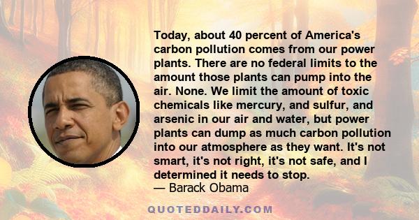 Today, about 40 percent of America's carbon pollution comes from our power plants. There are no federal limits to the amount those plants can pump into the air. None. We limit the amount of toxic chemicals like mercury,