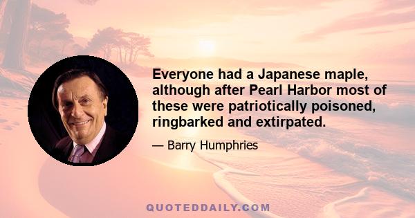 Everyone had a Japanese maple, although after Pearl Harbor most of these were patriotically poisoned, ringbarked and extirpated.
