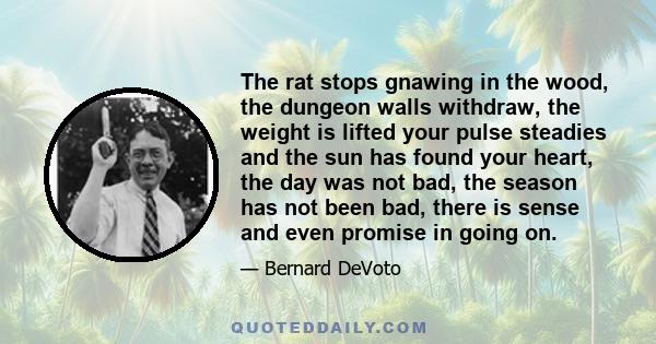The rat stops gnawing in the wood, the dungeon walls withdraw, the weight is lifted your pulse steadies and the sun has found your heart, the day was not bad, the season has not been bad, there is sense and even promise
