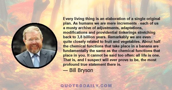 Every living thing is an elaboration of a single original plan. As humans we are mere increments - each of us a musty archive of adjustments, adaptations, modifications and providential tinkerings stretching back to 3,8