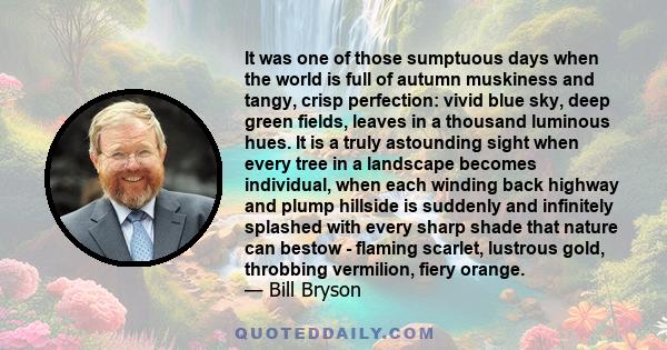 It was one of those sumptuous days when the world is full of autumn muskiness and tangy, crisp perfection: vivid blue sky, deep green fields, leaves in a thousand luminous hues. It is a truly astounding sight when every