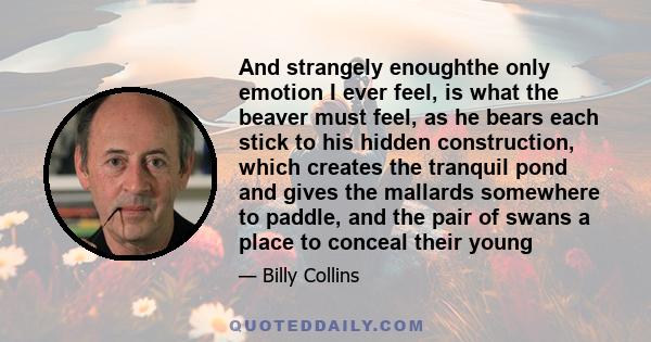 And strangely enoughthe only emotion I ever feel, is what the beaver must feel, as he bears each stick to his hidden construction, which creates the tranquil pond and gives the mallards somewhere to paddle, and the pair