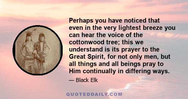 Perhaps you have noticed that even in the very lightest breeze you can hear the voice of the cottonwood tree; this we understand is its prayer to the Great Spirit, for not only men, but all things and all beings pray to