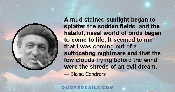 A mud-stained sunlight began to splatter the sodden fields, and the hateful, nasal world of birds began to come to life. It seemed to me that I was coming out of a suffocating nightmare and that the low clouds flying