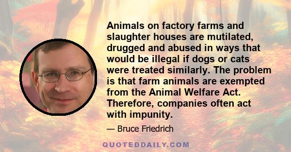 Animals on factory farms and slaughter houses are mutilated, drugged and abused in ways that would be illegal if dogs or cats were treated similarly. The problem is that farm animals are exempted from the Animal Welfare
