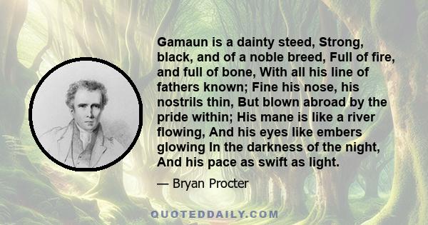 Gamaun is a dainty steed, Strong, black, and of a noble breed, Full of fire, and full of bone, With all his line of fathers known; Fine his nose, his nostrils thin, But blown abroad by the pride within; His mane is like