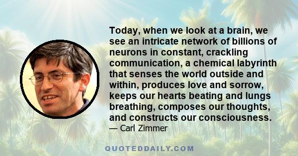 Today, when we look at a brain, we see an intricate network of billions of neurons in constant, crackling communication, a chemical labyrinth that senses the world outside and within, produces love and sorrow, keeps our