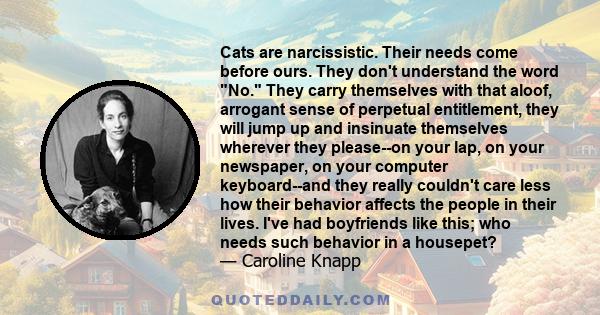 Cats are narcissistic. Their needs come before ours. They don't understand the word No. They carry themselves with that aloof, arrogant sense of perpetual entitlement, they will jump up and insinuate themselves wherever