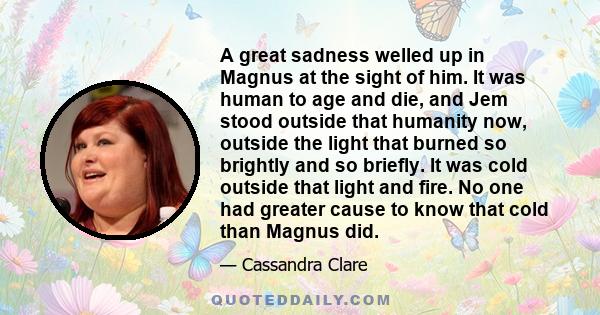 A great sadness welled up in Magnus at the sight of him. It was human to age and die, and Jem stood outside that humanity now, outside the light that burned so brightly and so briefly. It was cold outside that light and