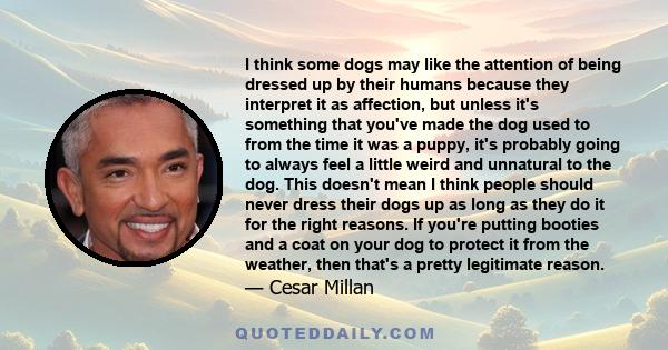I think some dogs may like the attention of being dressed up by their humans because they interpret it as affection, but unless it's something that you've made the dog used to from the time it was a puppy, it's probably