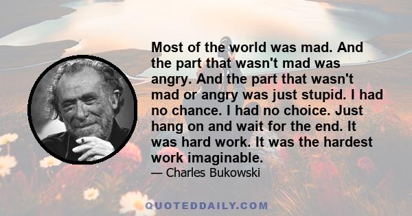 Most of the world was mad. And the part that wasn't mad was angry. And the part that wasn't mad or angry was just stupid. I had no chance. I had no choice. Just hang on and wait for the end. It was hard work. It was the