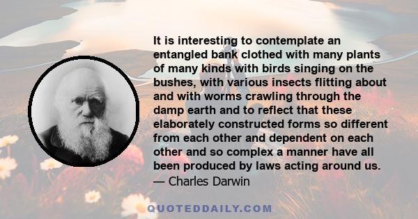It is interesting to contemplate an entangled bank clothed with many plants of many kinds with birds singing on the bushes, with various insects flitting about and with worms crawling through the damp earth and to