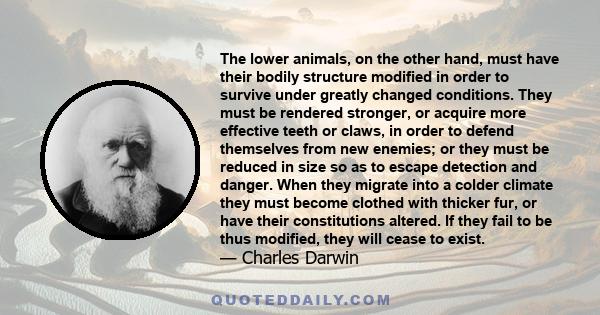 The lower animals, on the other hand, must have their bodily structure modified in order to survive under greatly changed conditions. They must be rendered stronger, or acquire more effective teeth or claws, in order to