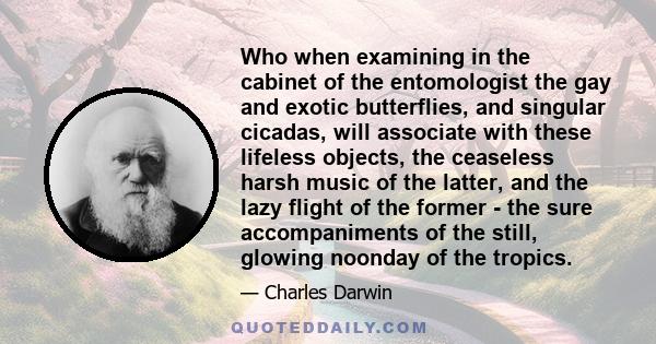 Who when examining in the cabinet of the entomologist the gay and exotic butterflies, and singular cicadas, will associate with these lifeless objects, the ceaseless harsh music of the latter, and the lazy flight of the