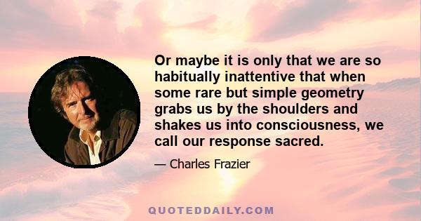Or maybe it is only that we are so habitually inattentive that when some rare but simple geometry grabs us by the shoulders and shakes us into consciousness, we call our response sacred.