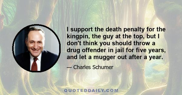 I support the death penalty for the kingpin, the guy at the top, but I don't think you should throw a drug offender in jail for five years, and let a mugger out after a year.