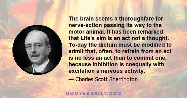 The brain seems a thoroughfare for nerve-action passing its way to the motor animal. It has been remarked that Life's aim is an act not a thought. To-day the dictum must be modified to admit that, often, to refrain from