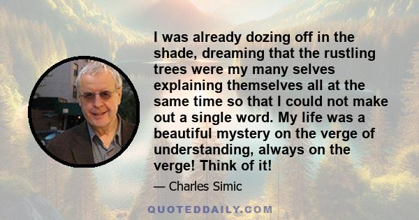 I was already dozing off in the shade, dreaming that the rustling trees were my many selves explaining themselves all at the same time so that I could not make out a single word. My life was a beautiful mystery on the