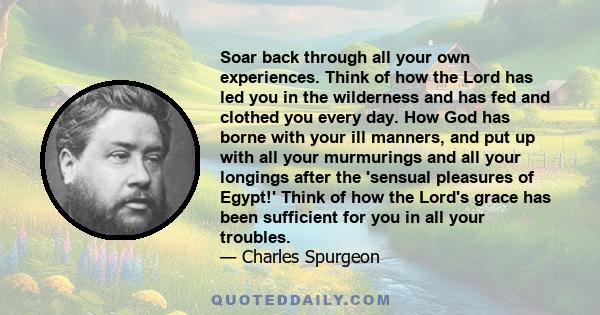 Soar back through all your own experiences. Think of how the Lord has led you in the wilderness and has fed and clothed you every day. How God has borne with your ill manners, and put up with all your murmurings and all