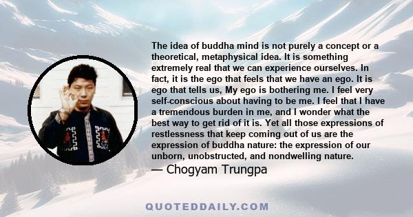 The idea of buddha mind is not purely a concept or a theoretical, metaphysical idea. It is something extremely real that we can experience ourselves. In fact, it is the ego that feels that we have an ego. It is ego that
