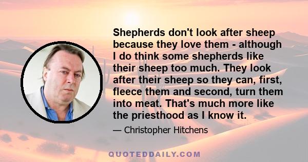 Shepherds don't look after sheep because they love them - although I do think some shepherds like their sheep too much. They look after their sheep so they can, first, fleece them and second, turn them into meat. That's