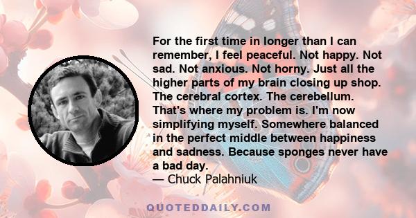 For the first time in longer than I can remember, I feel peaceful. Not happy. Not sad. Not anxious. Not horny. Just all the higher parts of my brain closing up shop. The cerebral cortex. The cerebellum. That's where my