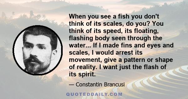 When you see a fish you don't think of its scales, do you? You think of its speed, its floating, flashing body seen through the water... If I made fins and eyes and scales, I would arrest its movement, give a pattern or