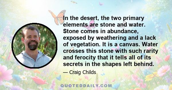 In the desert, the two primary elements are stone and water. Stone comes in abundance, exposed by weathering and a lack of vegetation. It is a canvas. Water crosses this stone with such rarity and ferocity that it tells
