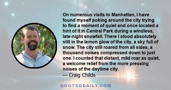 On numerous visits to Manhattan, I have found myself poking around the city trying to find a moment of quiet and once located a hint of it in Central Park during a windless, late-night snowfall. There I stood absolutely